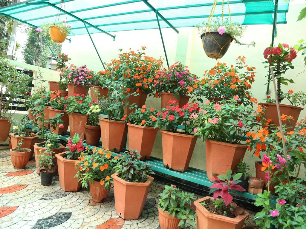 Mangalappillil Homestay Муннар Экстерьер фото